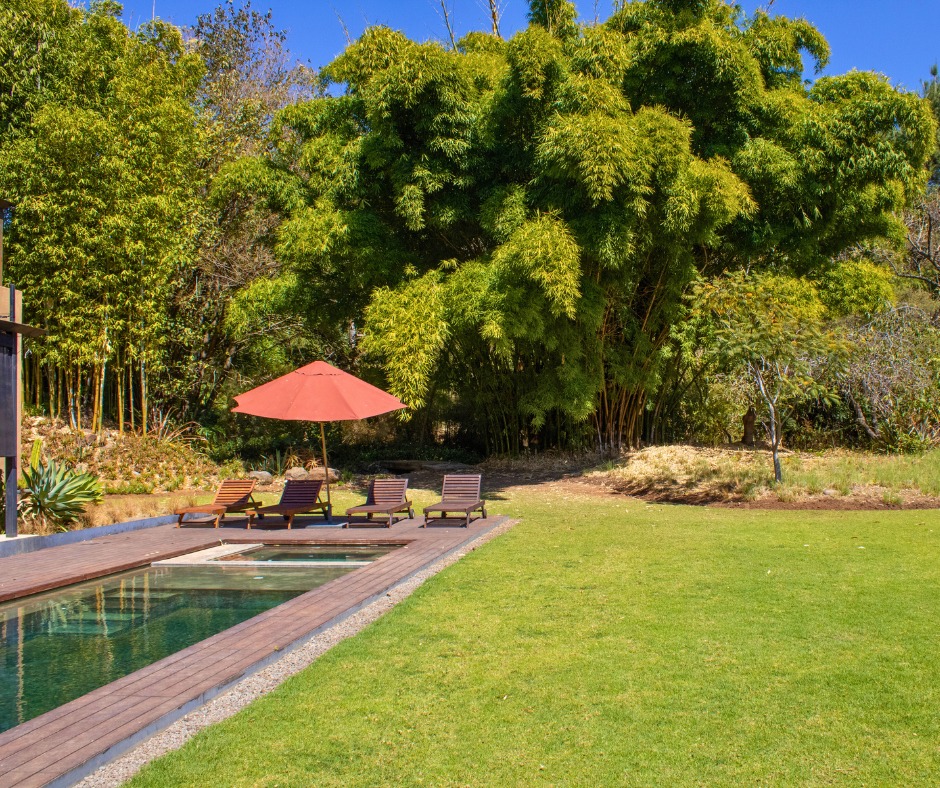☀️🏊♀️ En Casa Guayaba, el plan perfecto es pasar el día en la alberca disfrutando el mejor clima de Malinalco. Agua climatizada, privacidad y ese ambiente que invita a quedarte más tiempo del que pensabas 🌿
📱 Reserva por DM
#CasaGuayaba #CLAMalinalcoVillas #Malinalco #CasaEnRentaMalinalco #AlbercaClimatizada #EscapadasCDMX #Naturaleza #FindePerfecto #PuebloMágico #HotelesEnMalinalco
