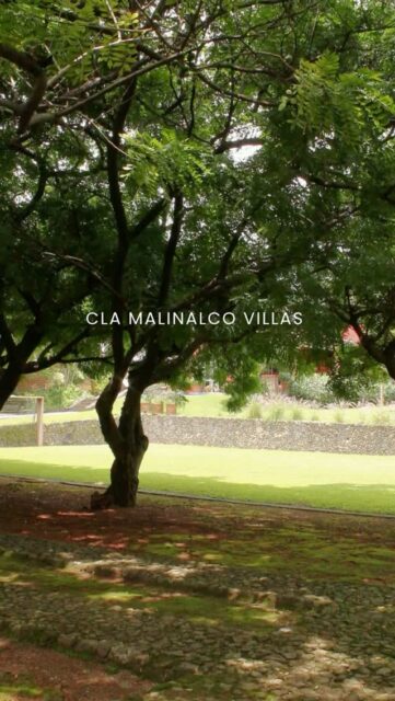 🏡 Casa Canela para disfrutar en familiaCasa privada en renta en Malinalco con 6 habitaciones para hasta 19 personas, alberca climatizada, jacuzzi, cancha de pádel y cancha de fútbol. Ideal para reuniones familiares y fines de semana.📩 Pregunta por nuestras tarifas especiales y reserva por DM.#CasaCanela #CLAMalinalcoVillas #Malinalco #CasaEnRentaMalinalco #CasaPrivada #EscapadasCDMX #AlbercaClimatizada