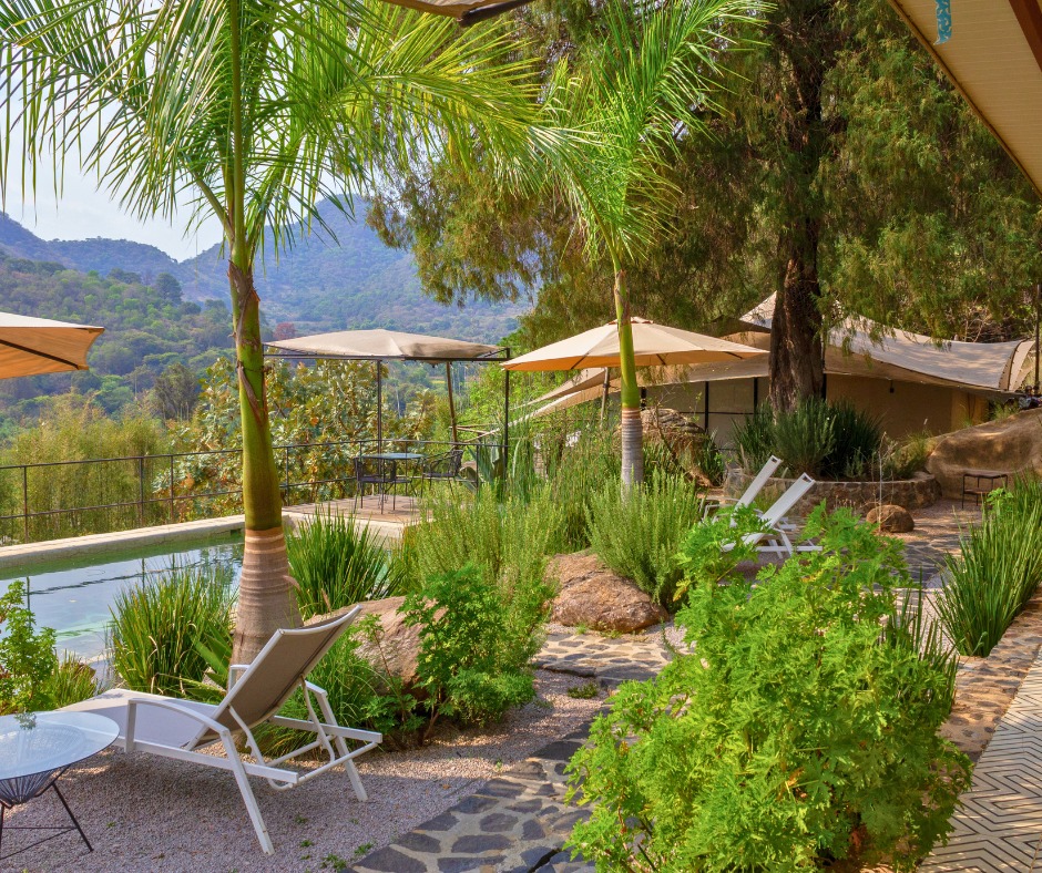 🍽️🌄 En Hotel Flora y Fauna, también podrás disfrutar de nuestro restaurante Ceiba, donde cada platillo combina un sazón único con impresionantes vistas a las montañas de Malinalco. ✨
👉 Reserva ahora
#HotelFloraYFaunaMalinalco #HotelBoutiqueMalinalco #Malinalco #RestauranteCeiba #EscapadasCDMX #TurismoEcológico #HotelesEnMalinalco #Gastronomía #PuebloMágico